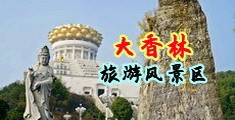 黄片穿黑丝白丝中国浙江-绍兴大香林旅游风景区